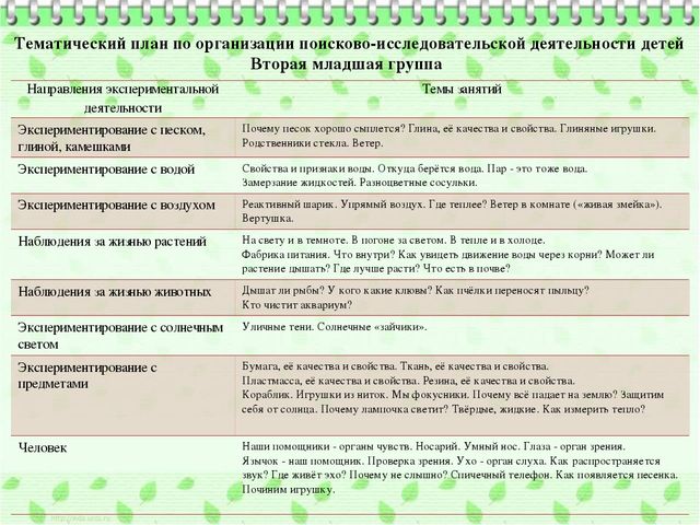 Организация познавательно-исследовательской деятельности дошкольников в процессе экологического воспитания