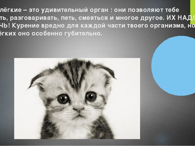 Презентация на тему: " Как у человека происходит вдох и выдох"