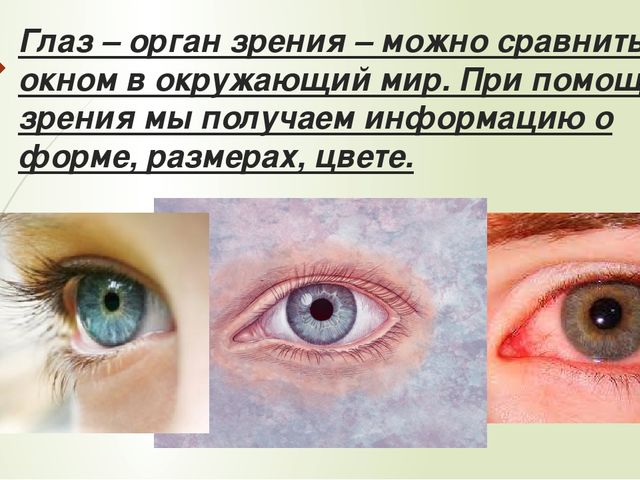 Презентация для дошкольников: "Орган чувств-глаза."