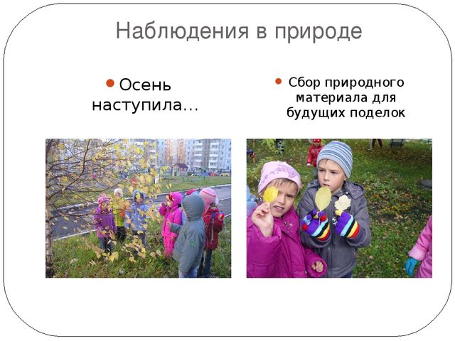 Презентация: "Детское экспериментирование как средство познавательно - речевого развития детей дошкольного возраста"