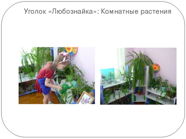 Презентация: "Детское экспериментирование как средство познавательно - речевого развития детей дошкольного возраста"