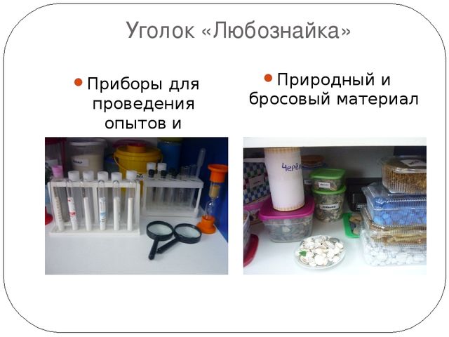 Презентация: "Детское экспериментирование как средство познавательно - речевого развития детей дошкольного возраста"