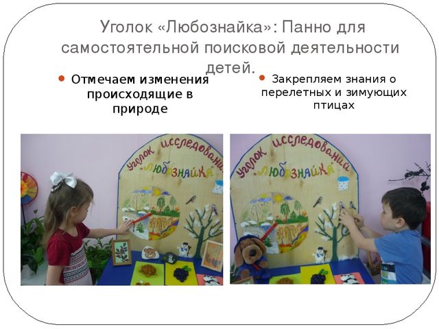 Презентация: "Детское экспериментирование как средство познавательно - речевого развития детей дошкольного возраста"