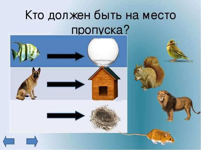 Презентация "Зарядка для ума"