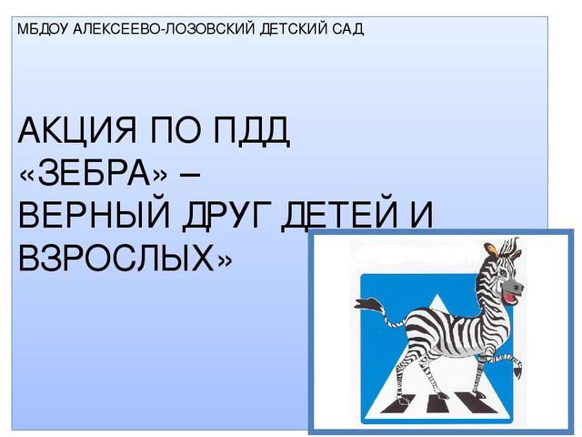ПРЕЗЕНТАЦИЯ АКЦИИ ПО ПДД "ЗЕБРА"