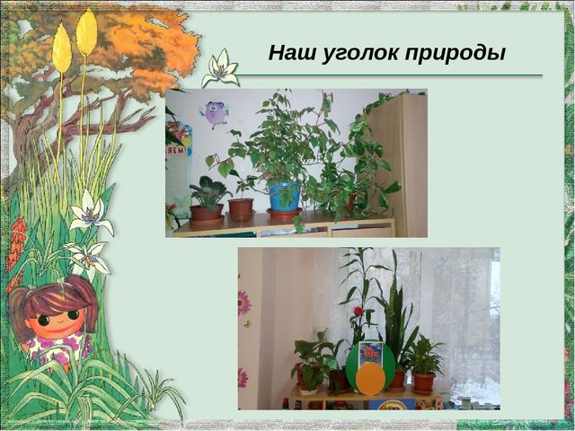 Экологическое воспитание детей раннего возраста в рамках введения ФГОС