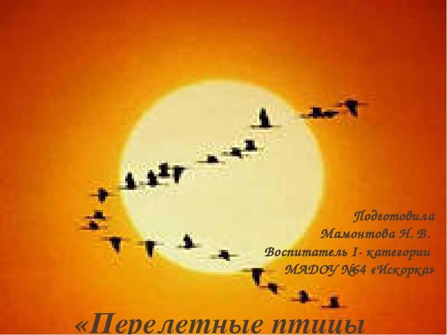 Презентация "Перелетные птицы родного края".