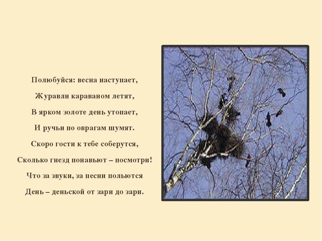 Презентация "Перелетные птицы родного края".