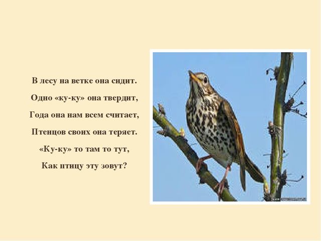 Презентация "Перелетные птицы родного края".