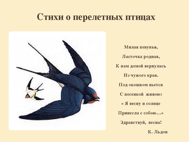 Презентация "Перелетные птицы родного края".