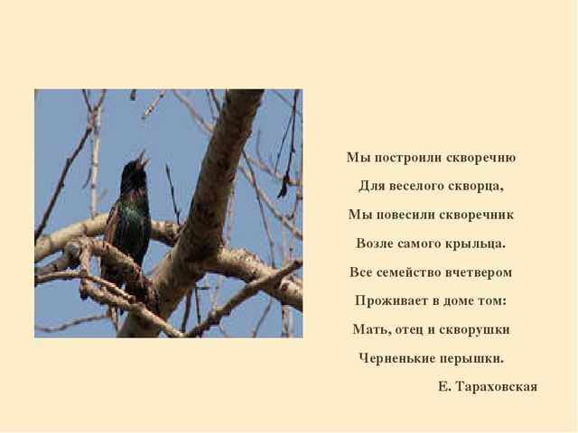 Презентация "Перелетные птицы родного края".