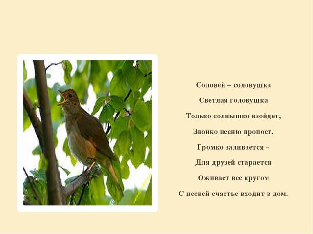 Презентация "Перелетные птицы родного края".