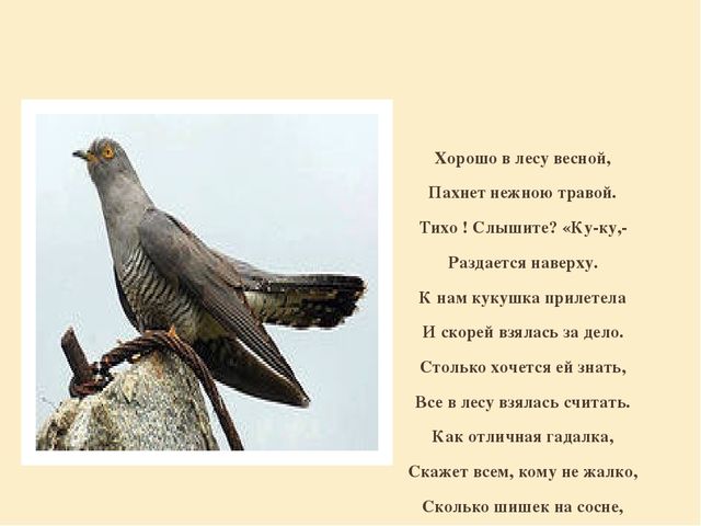 Презентация "Перелетные птицы родного края".