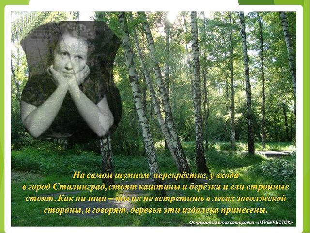 Презентация "История родного города Волгограда по поизведениям М. Агашиной"