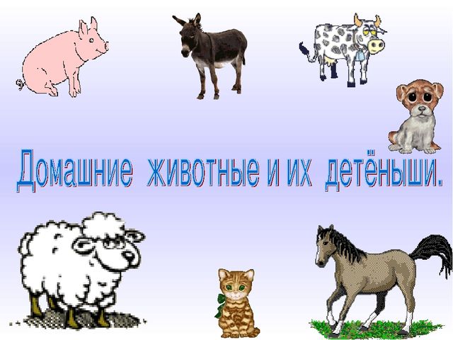 Презентация к занятию по развитию речи на тему "Домашние животные и их детеныши"