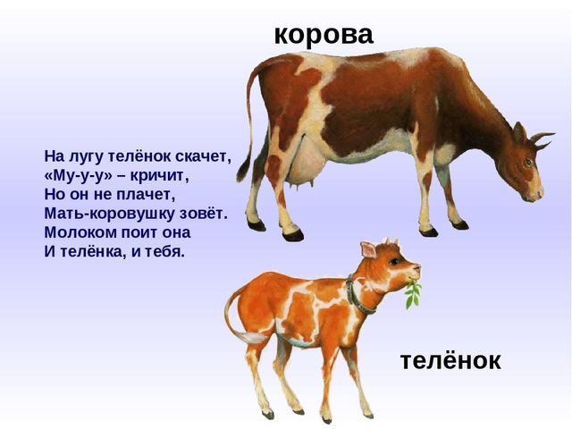 Презентация к занятию по развитию речи на тему "Домашние животные и их детеныши"