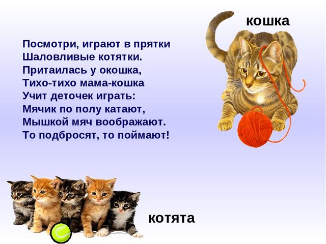 Презентация к занятию по развитию речи на тему "Домашние животные и их детеныши"