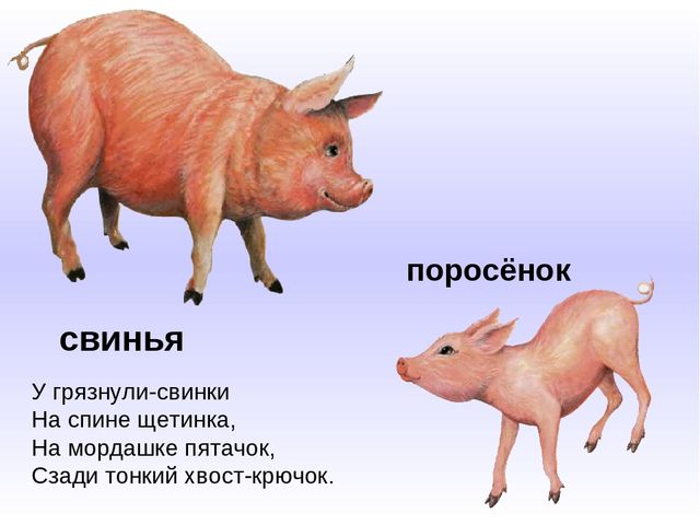 Презентация к занятию по развитию речи на тему "Домашние животные и их детеныши"