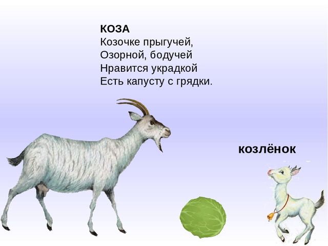 Презентация к занятию по развитию речи на тему "Домашние животные и их детеныши"