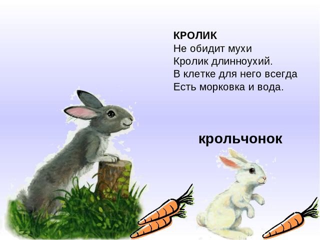 Презентация к занятию по развитию речи на тему "Домашние животные и их детеныши"