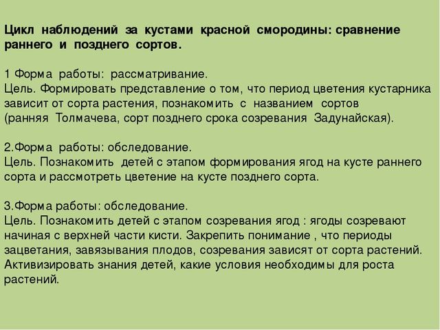 Презентация "Экологическое воспитание дошкольников"