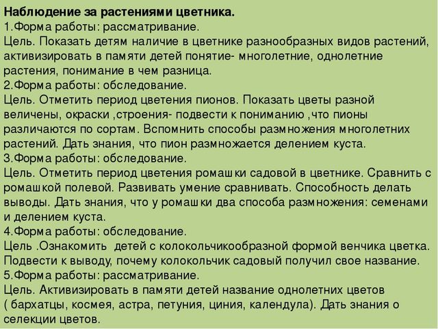 Презентация "Экологическое воспитание дошкольников"