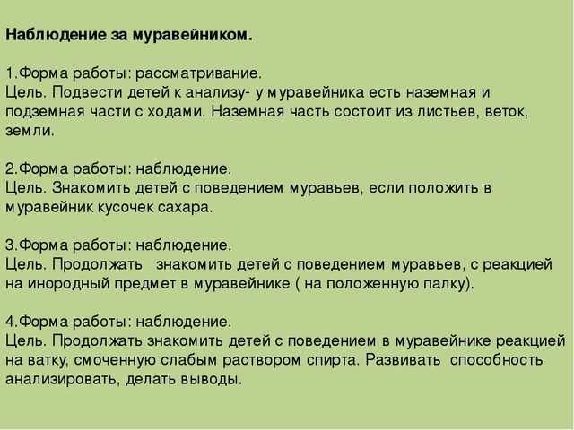 Презентация "Экологическое воспитание дошкольников"