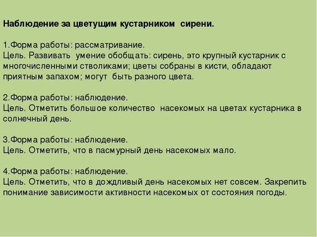 Презентация "Экологическое воспитание дошкольников"