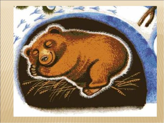 Занятие по окружающему миру
