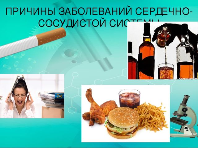 Презентация по ознакомлению с миром природы.Тема: Строение человека. Сердечно-сосудистая система.