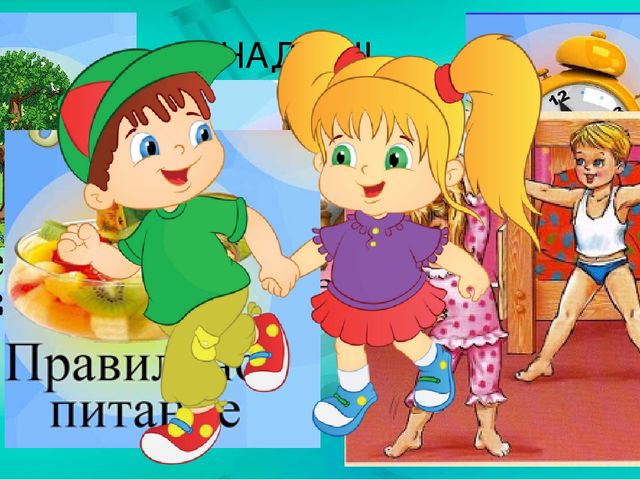 Презентация по ознакомлению с миром природы.Тема: Строение человека. Сердечно-сосудистая система.