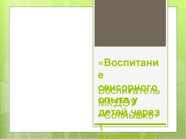 Презентация "Воспитание сенсорного опыта у детей через дидактическую игру"
