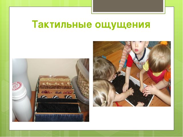Презентация "Воспитание сенсорного опыта у детей через дидактическую игру"