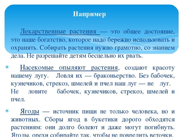 Формы организации сотрудничества с семьёй, с целью повышения экологической культуры дошкольников