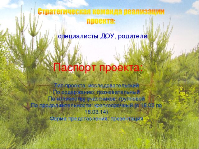 Презентация экологического проекта "Наши маленькие друзья"