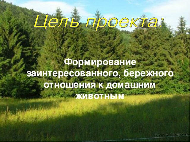 Презентация экологического проекта "Наши маленькие друзья"