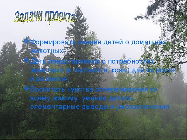 Презентация экологического проекта "Наши маленькие друзья"