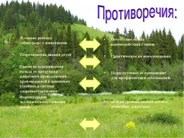 Презентация экологического проекта "Наши маленькие друзья"