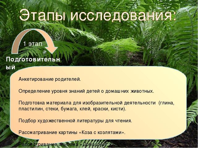 Презентация экологического проекта "Наши маленькие друзья"