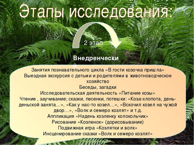 Презентация экологического проекта "Наши маленькие друзья"