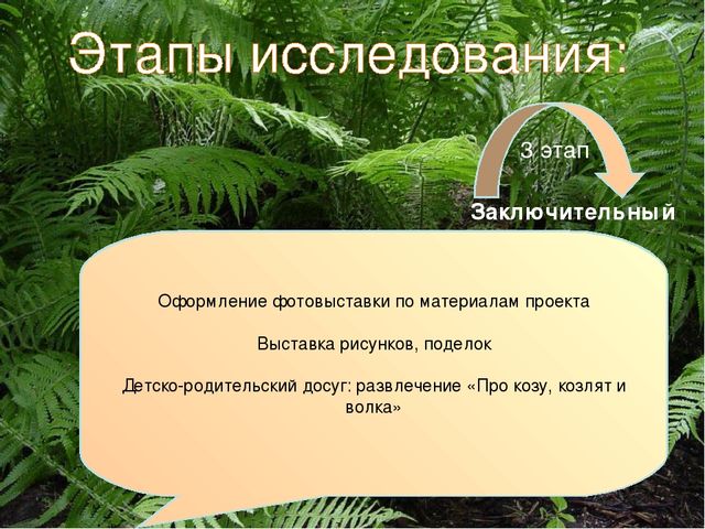Презентация экологического проекта "Наши маленькие друзья"