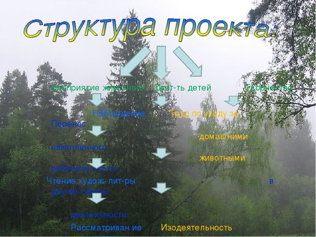 Презентация экологического проекта "Наши маленькие друзья"