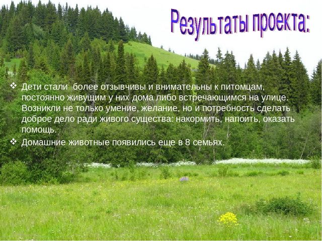 Презентация экологического проекта "Наши маленькие друзья"