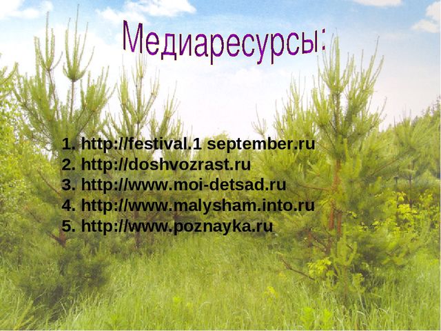Презентация экологического проекта "Наши маленькие друзья"