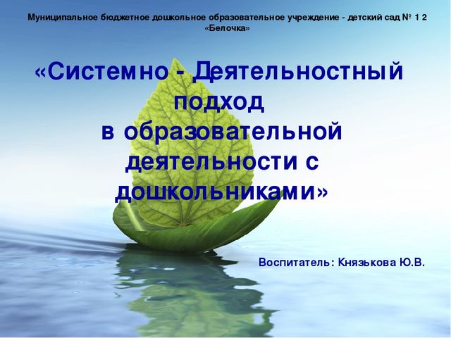 Системно-деятельностный подход в образовательной деятельности дошкольников
