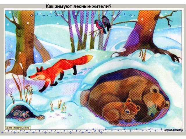 Презентация для детского сада "Зима"