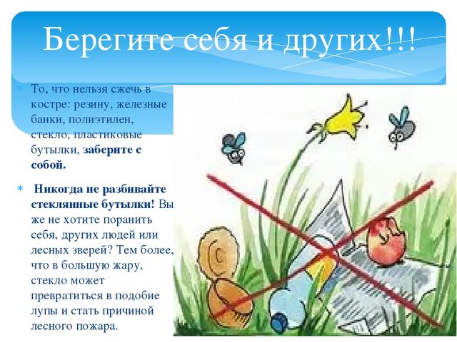 Презентация для дошкольников "О правилах безопасности в лесу"