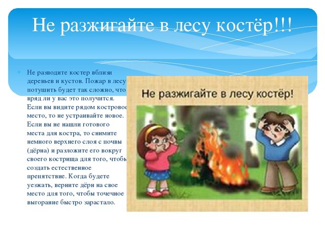 Презентация для дошкольников "О правилах безопасности в лесу"
