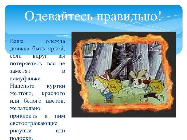 Презентация для дошкольников "О правилах безопасности в лесу"