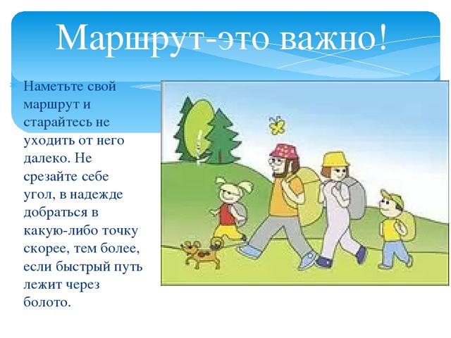 Презентация для дошкольников "О правилах безопасности в лесу"